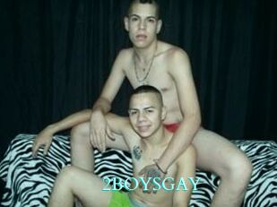 2BOYS_GAY