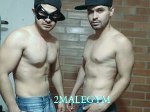 2MALEGYM