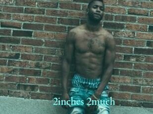 2inches_2much