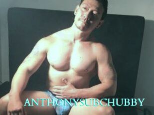 ANTHONYSUBCHUBBY