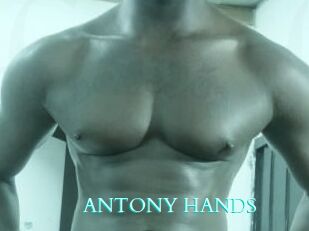 ANTONY_HANDS