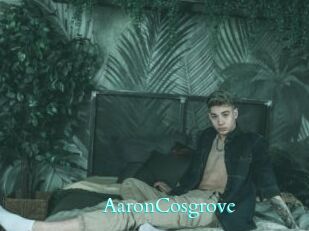 AaronCosgrove