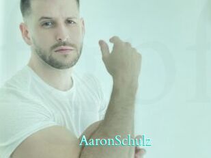 AaronSchulz