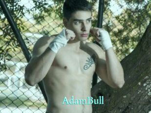 AdamBull
