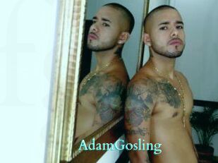 AdamGosling