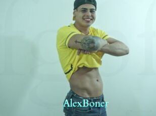 AlexBoner Free Gay Porn Finder