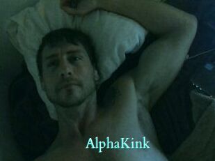 AlphaKink Free Gay Porn Finder