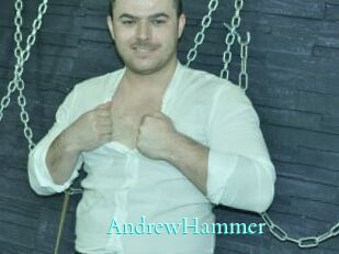 AndrewHammer