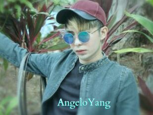 AngeloYang