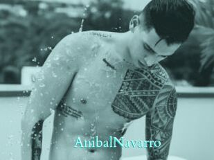 AnibalNavarro