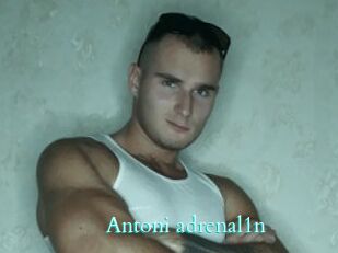 Antoni_adrenal1n