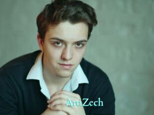 ArtiZech