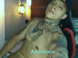 Adamforest