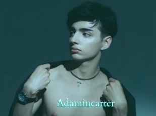 adamincarter Free Gay Porn Finder