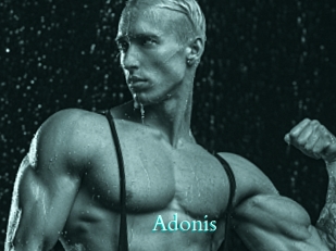adonis Free Gay Porn Finder
