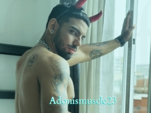 Adonismuscle23