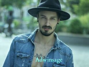Adwinsage