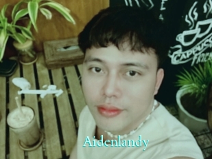Aidenlandy