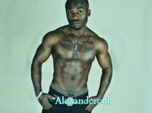 Alexandercolt