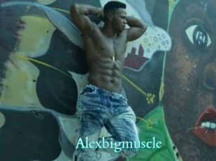 Alexbigmuscle