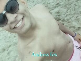 Andress_fox