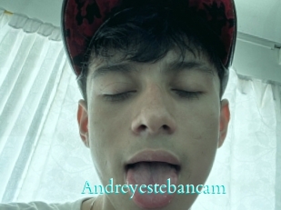 Andreyestebancam