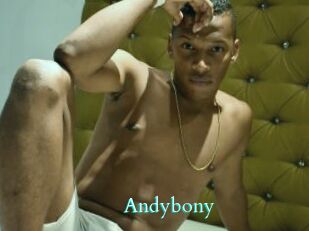 Andybony