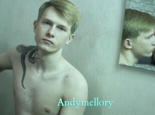 Andymellory