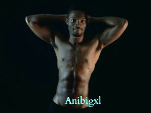 Anibigxl