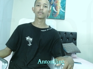 Antonilinz