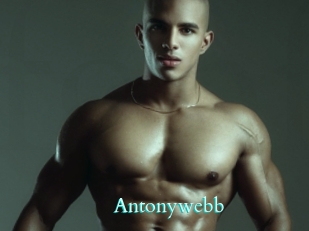 Antonywebb