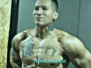 Apolomuscle