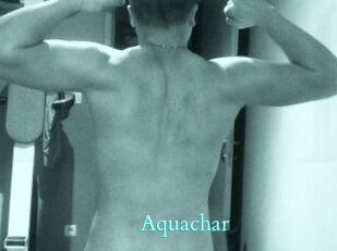 Aquachar