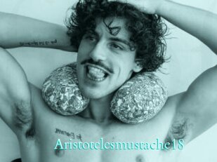 Aristotelesmustache18