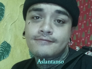 Aslantanso