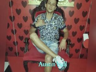 Austin_bull