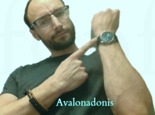 Avalonadonis