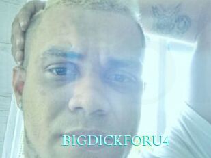 BIGDICKFORU4