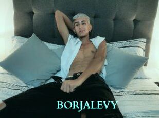 BORJALEVY