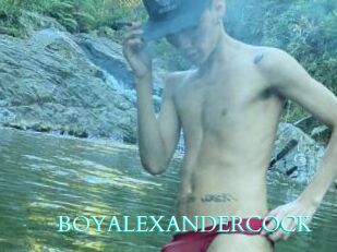 BOYALEXANDERCOCK
