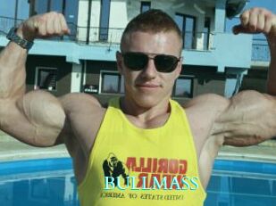 BULLMASS