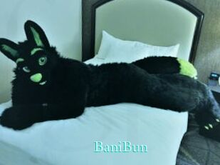 BaniBun