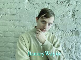 BanneyWayne Free Gay Porn Finder
