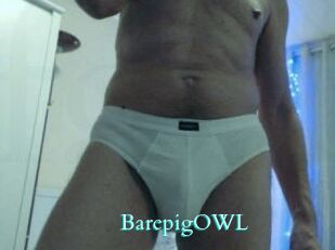 BarepigOWL