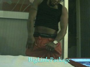 BigLittlePackage Free Gay Porn Finder