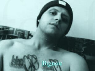 Bignois
