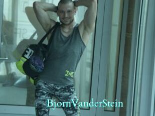 BjornVanderStein