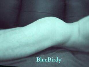 BlueBirdy
