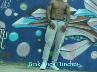 Brak_Dick11inches