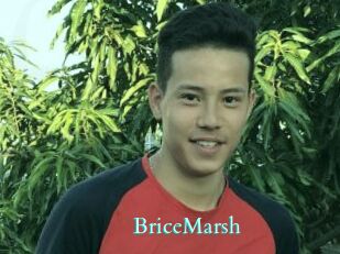 BriceMarsh